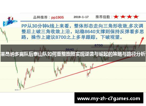 莱昂纳多离队后泰山队如何重整旗鼓实现逆袭与崛起的策略与路径分析