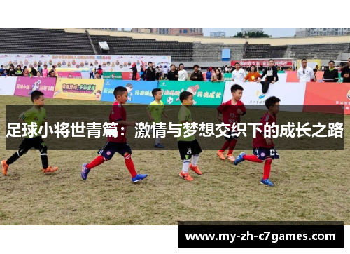 足球小将世青篇：激情与梦想交织下的成长之路