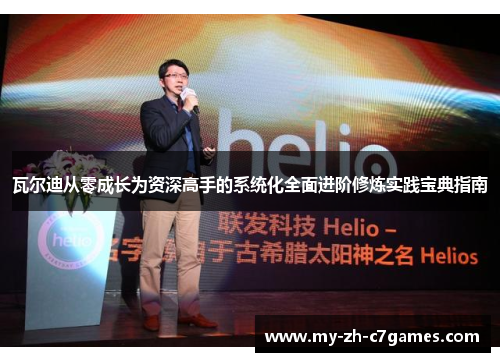 瓦尔迪从零成长为资深高手的系统化全面进阶修炼实践宝典指南 瓦尔迪从零成长为资深高手的系统化全面进阶修炼实践宝典指南