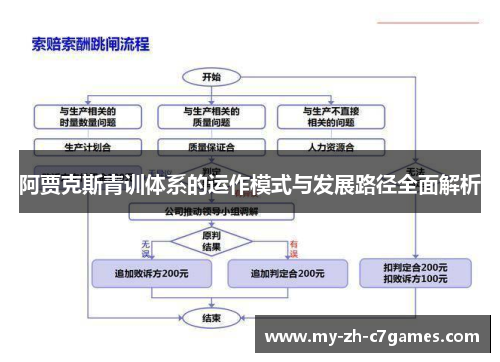 阿贾克斯青训体系的运作模式与发展路径全面解析